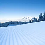 호텔 Hotel-restaurant Planaihof 4*