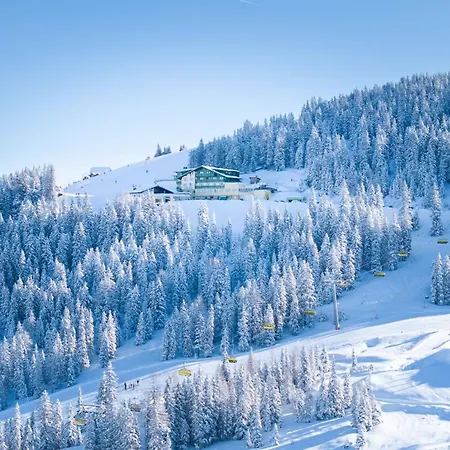 Hotel-restaurant Planaihof Hotel 4*