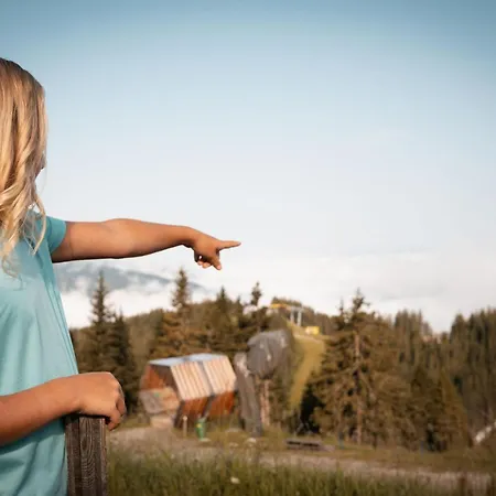 Hotel Hotel-restaurant Planaihof 4*