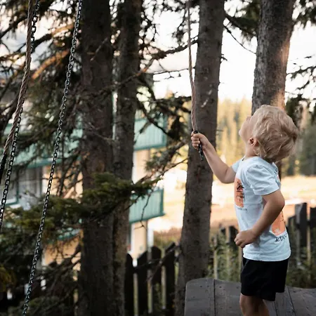 Hotel-restaurant Planaihof Ξενοδοχείο Schladming