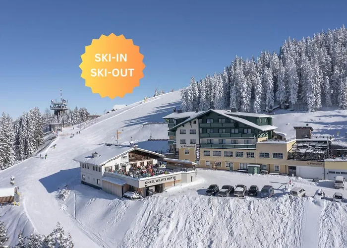 Hotel-restaurant Planaihof 4* Schladming