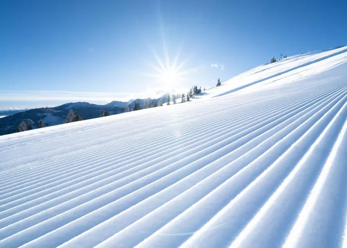 Hotel-restaurant Planaihof