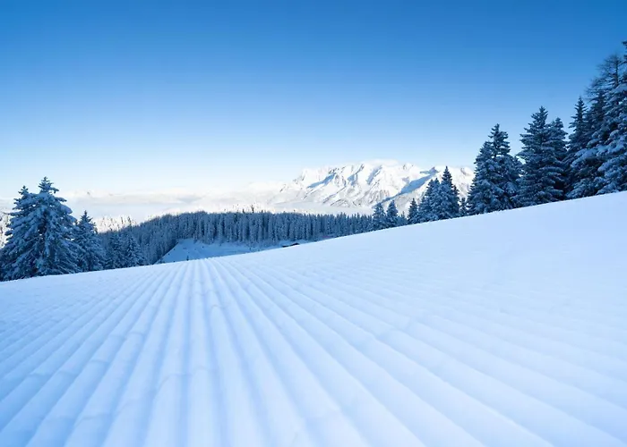 Hotel Hotel-restaurant Planaihof 4*